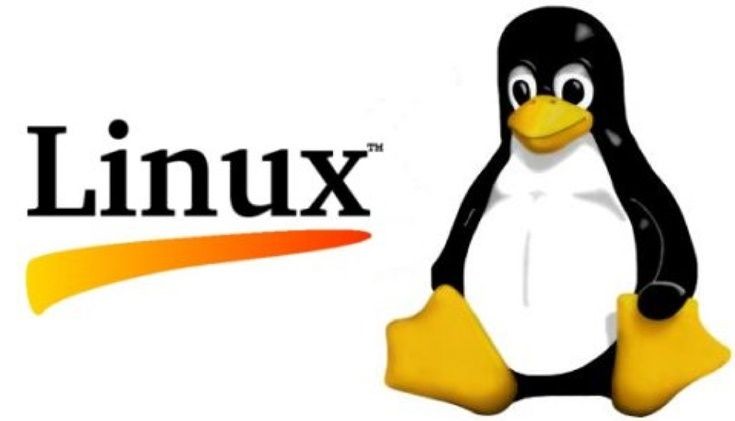 Linux Server